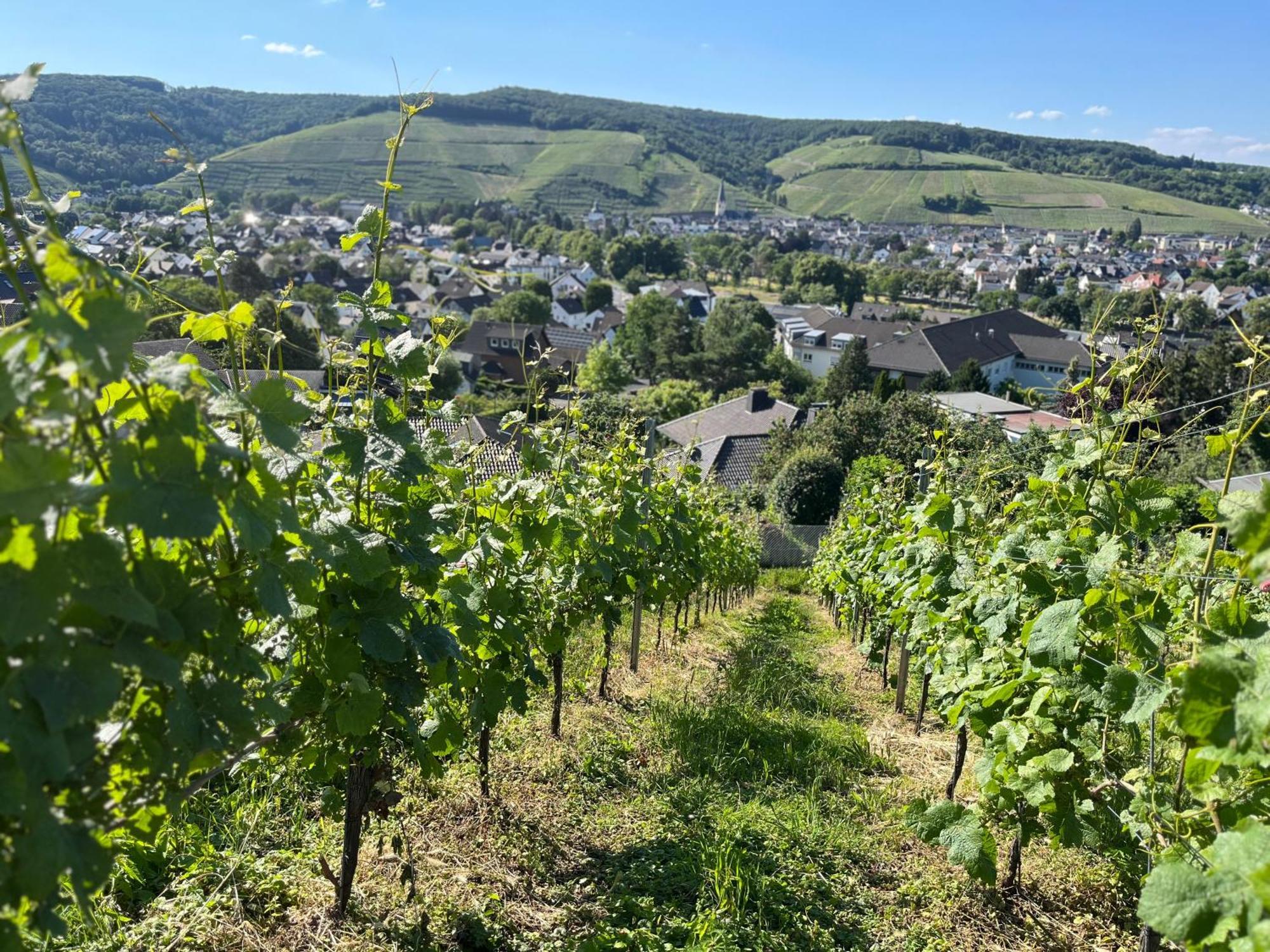 Ferienhaus Mausberg Bad Neuenahr-Ahrweiler Exteriér fotografie